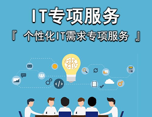 IT專項服務(wù)
