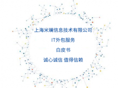 IT外包服務(wù)白皮書—上海頤澤信息技術(shù)有限公司