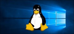 Windows10 2004版有哪些新功能？（3）